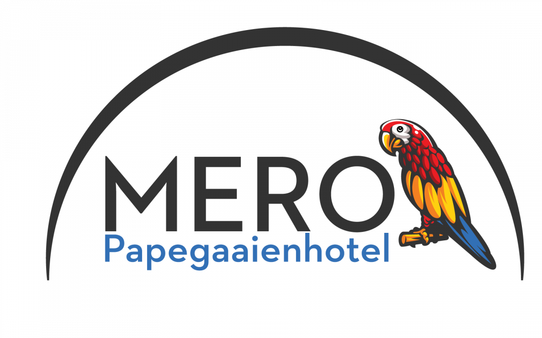 Bonus  Blogje Met  Leuke Weetjes