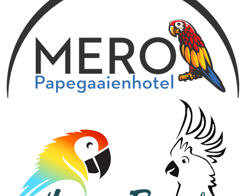 Nieuws en uitslag van de enquête