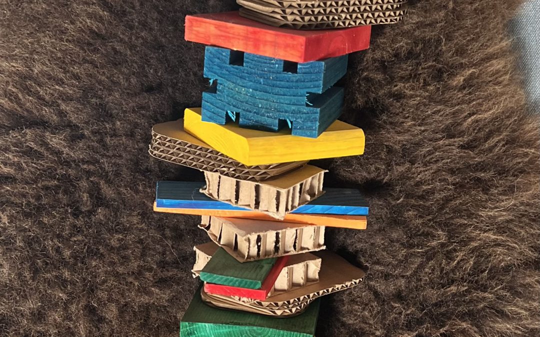 Vul onze enquête in en maak kans op papegaaien sloopspeelgoed