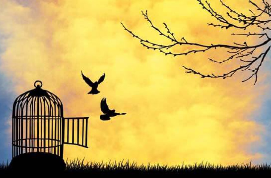 De Maand Mei staat in het teken van Vrijheid, voor mens en dier