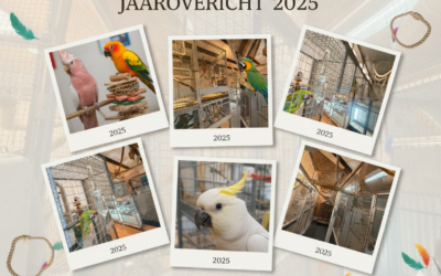 2025 in een vogelvlucht